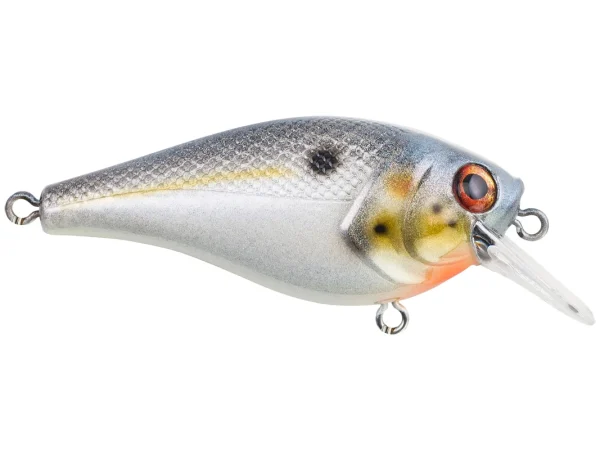 Berkley SquareBull Crankbait Sexier Shad 5.5