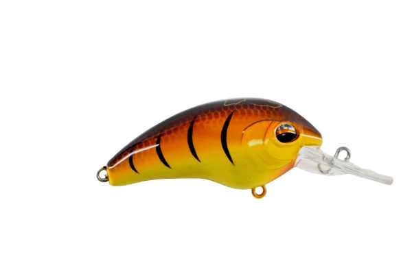 Jenko TB5 Crankbait Cajun Spice