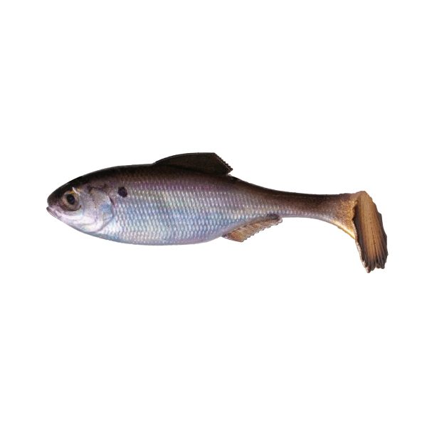 6th Sense Panorama Swimbait 2.3